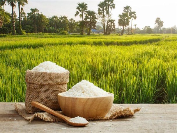 ۱۳۵۰ تُن برنج در بازار آذربایجان‌غربی توزیع شده است