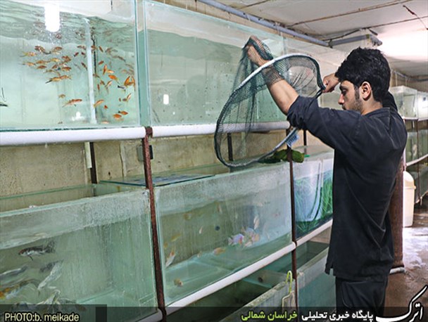 از علاقه مندی شخصی تا اشتغال زایی ملی