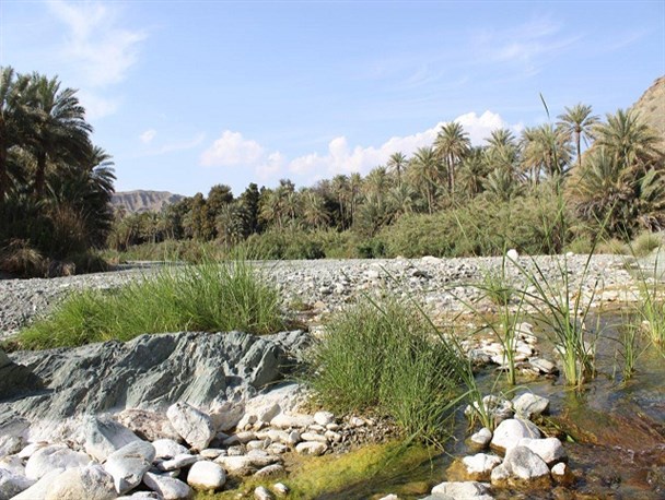 طبیعت چشم نواز کندر منوجان پذیرای مسافران نوروزی/تصاویر