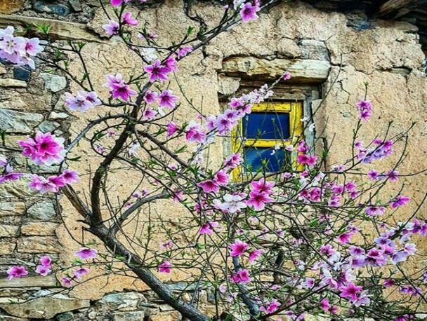روستاهای کامیاران و درک زیبائی های بی بدیل زندگی+تصویر