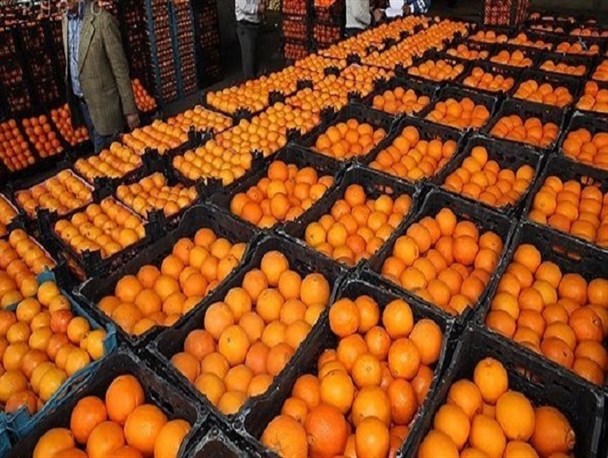 سهم ۴۵۰ تنی فردیسی ها از میوه شب عید/ برپایی ۱۰ غرفه توزیع میوه در شهرستان فردیس