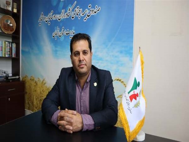 مبلغ بیمه پردازی صندوق اجتماعی ۶۰ درصد افزایش یافت/ پوشش ۳۰ درصدی جامعه هدف صندوق در استان زنجان