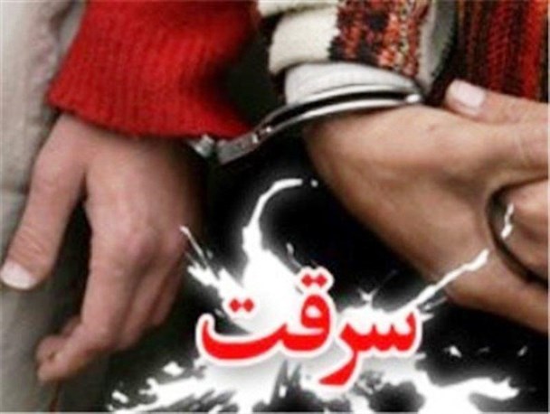 کاهش 55 درصدی سرقت در شهرستان دلیجان