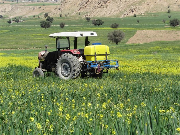 سم پاشی مزارع کشاورزی در لنده به روایت تصویر