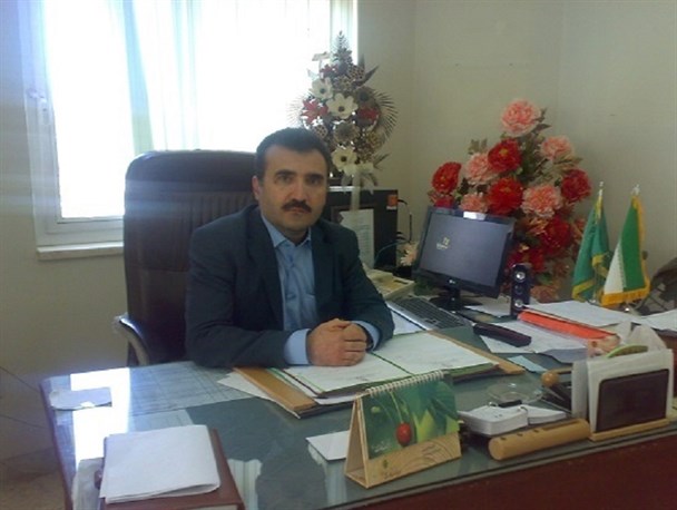 مبارزه با آفت گندم در 950 هکتار از مزارع شیروان اجرا شد