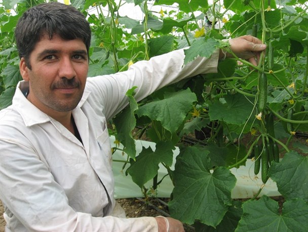 گله مندی های کارآفرین نمونه با تولید 5 محصول/عدم سیاست حمایتی قطع کننده حلقه نهایی اقتصاد مقاومتی است
