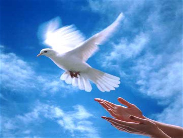 سیری بر زندگی خواهران شهید "جمیله و مژگان گنجی"