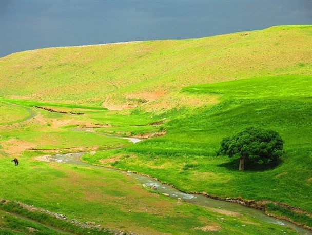 تصاویر بسیار زیبایی از طبیعت بهاری شهرستان نهاوند