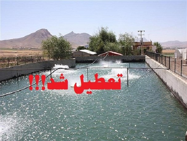 به لطف تدبیر مسئولان مزرعه پرورش ماهی در بهبهان تعطیل شد