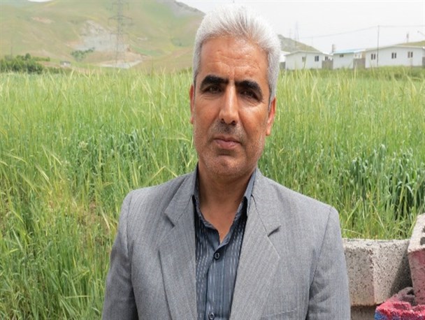 افزایش 75 درصدی خرید گندم در سال زراعی گذشته