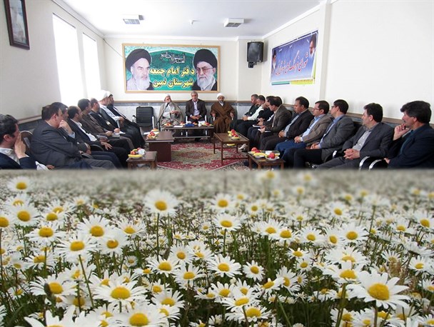 نظر متفاوت مسئولان نمین در مورد برگزاری جشنواره بابونه‌ها