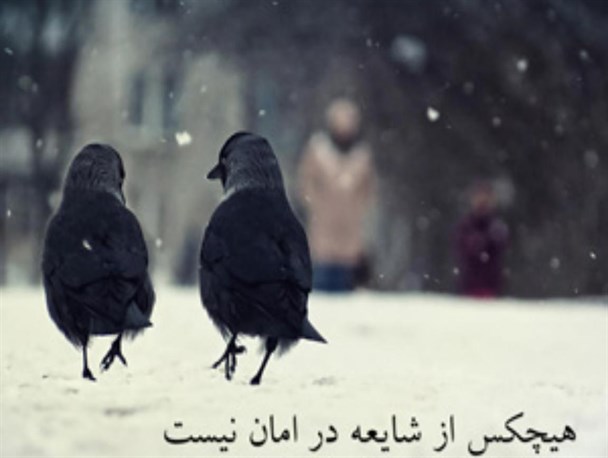 وقتی شایعه پراکنان زودتر از ستاد بحران خبر از زلزله می دهند/معمای این دروغ های مجازی از کجا نشأت می گیرد