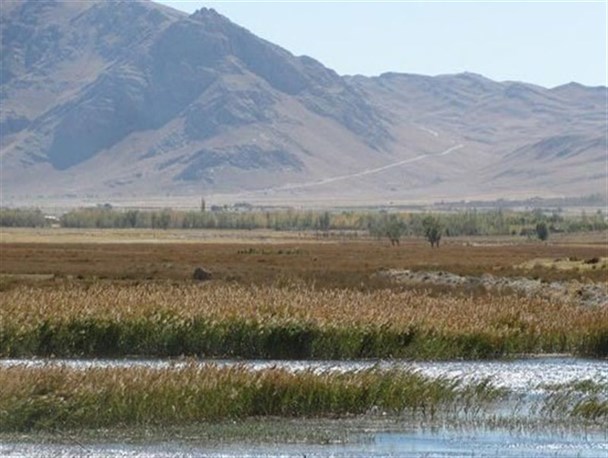 بارش های اخیر دمیدن روح در کالبد اکوسیستم ها و زیستگاه های طبیعی بود / تالاب گندمان کاملا احیا شد