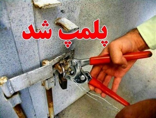 10 واحد صنفی متخلف در کوهدشت پلمب شد