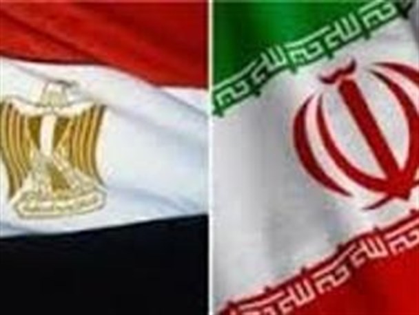 حضور جمعی از فعالان مصری در تهران