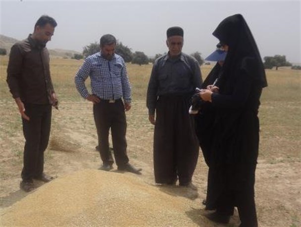 آغاز پرداخت غرامت به کشاورزان خسارت دیده ناشی از خشکسالی  لالی