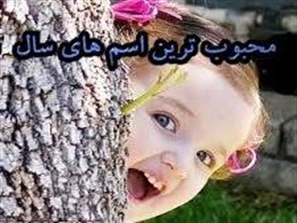 محمد و فاطمه پرکاربرد ترین نام برای نوزادان تربت جامی