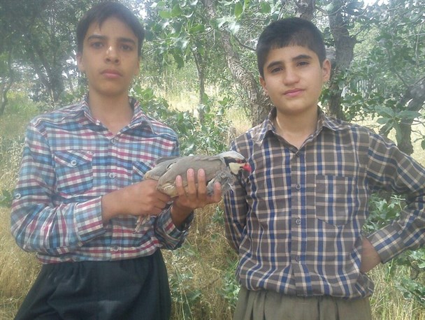 گریه برای مرگ یک پرنده و القای فرهنگ آزادسازی حیوانات توسط کودکان دیارم +تصاویر