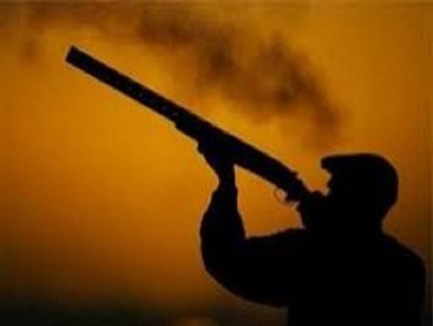 کشف آثار یک رأس قوچ وحشی از منزل یک شکارچی غیر مجاز