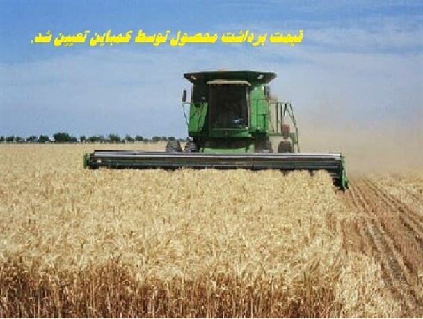 قیمت برداشت محصول توسط کمباین ها در مراوه تپه بالاست