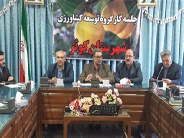 پیش‌بینی کاهش برداشت محصول استراتژیک گندم در کوثر
