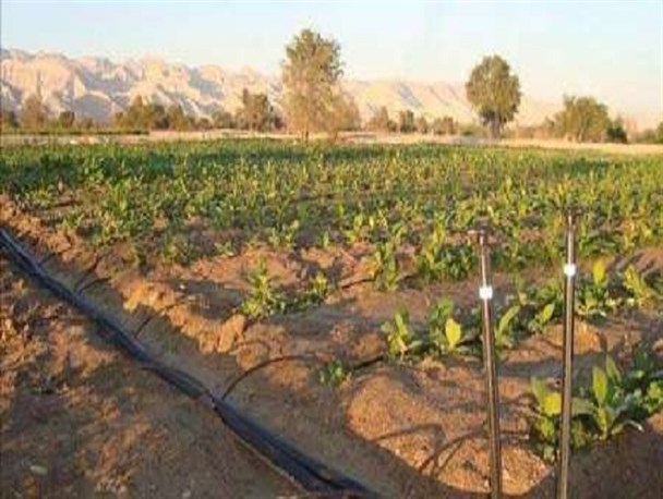 ۵ هزار هکتار از اراضی به سیستم آبیاری کم فشار مجهز می شوند
