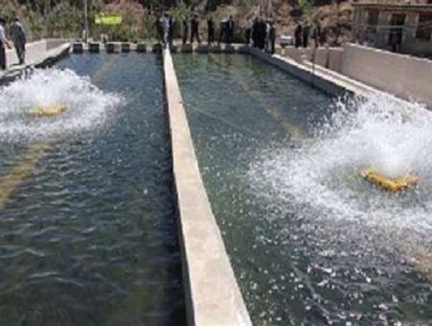 ایرانشهر قطب تولید ماهیان گرمابی