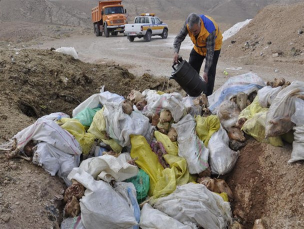 معدوم سازی ۱۰۰ کیلوگرم آلایش دامی غیربهداشتی درشهرستان اسکو