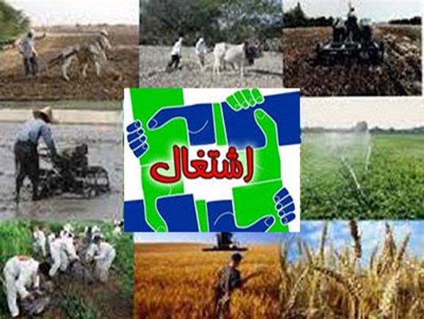 اندیمشک قطب کشاورزی استان خوزستان/ برداشت حدود ۱۵ هزار تن محصولات کشاورزی در اندیمشک