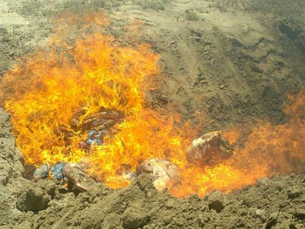 80 کیلوگرم گوشت حاصل از کشتار غیر مجاز شتر در گمیشان کشف و معدو م شد