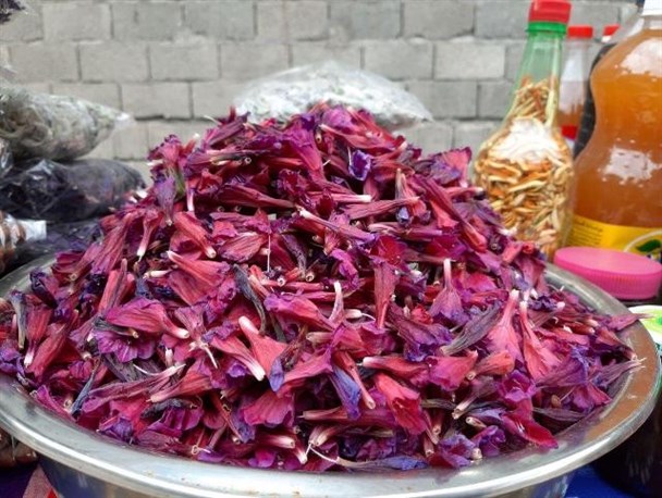 گزارش تصویری/ جشنواره ملی «گل گاوزبان» در روستای جنت‌رودبار رامسر