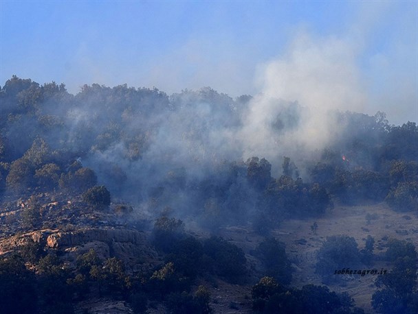 رقص شعله‌های آتش در جنگل‌های زاگرس/ درختانی که قربانی کمبود امکانات و کم توجهی دولت شدند+تصاویر