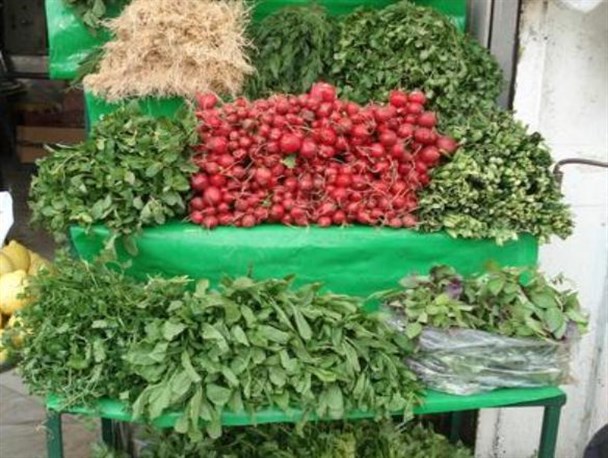 «طلای سبز»؛ فرصتی برای درمان پای لنگ اقتصاد بوکان