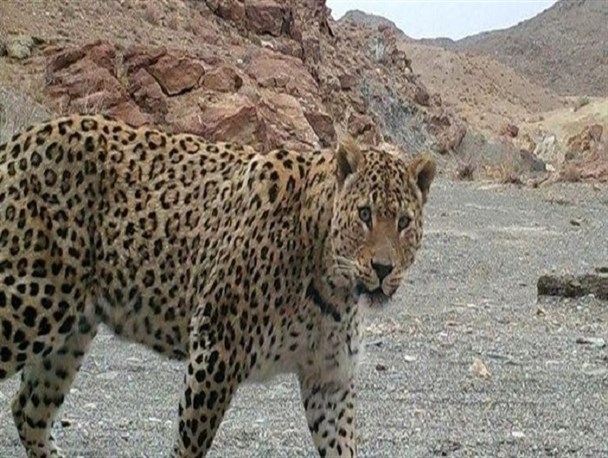 پرداخت خسارت محیط زیستی به مردم سیستان و بلوچستان، پس از 11 سال