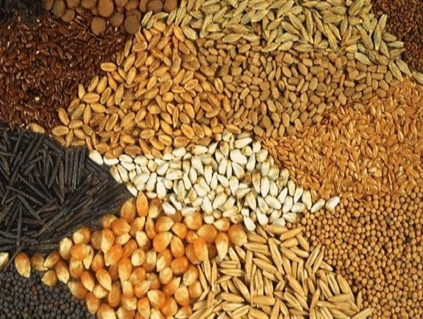 استان یزد در زمینه خودکفایی علوفه پیشرفتهای خوبی داشته است / یزد جز آرام ترین استانهای کشور در زمینه کمبود محصولات پروتئینی است