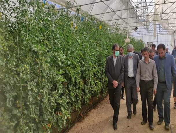 توسعه کشت گلخانه‌ای در چهارمحال‌وبختیاری باید به ۵۰۰ هکتار برسد