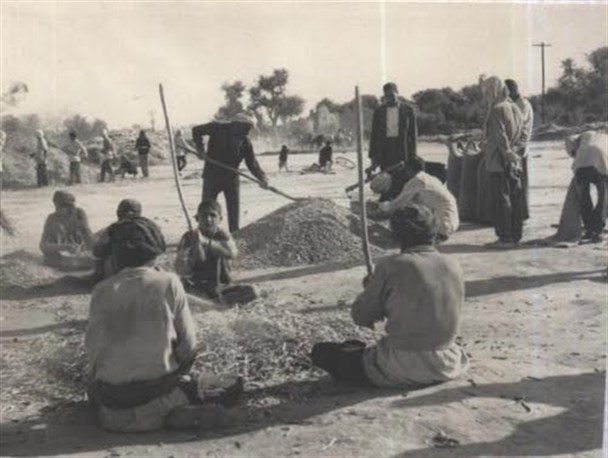 خرمن بهره
