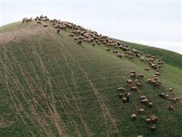 جولان آشوبگران؛ این بار در روستاهای مرزی سردشت