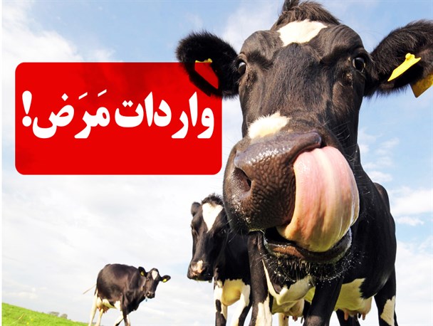 پوستر/واردات مرض!