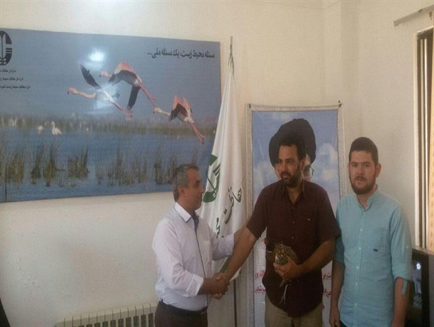 قرقاول پرورشی آمریکایی به اداره محیط زیست بندرترکمن تحویل داده شد