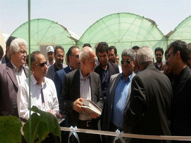 توسعه کشت گلخانه‌ای به بهره‌وری از آبیاری مکانیزه به کشاورزی کمک شایانی می‌کند