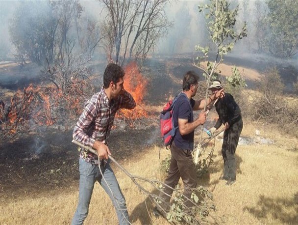 آتش سوزی در مقابل تخریب عمدی جنگل ها چیزی به حساب نمی آید/ نیروی بومی با دم پایی نمی تواند به مهار آتش بپردازد