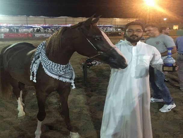 مقام دوم سوارکار باوی در مسابقات زیبایی اسب عرب+ عکس