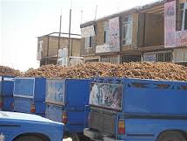 کشف یک تن و 800 کیلوگرم پیاز زعفران قاچاق در سرایان