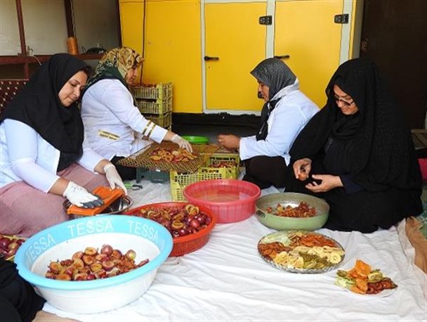 بانوان ارومیه ای با گسترش صنایع تبدیلی کوچک و خانگی اقدام و عمل را رقم زدند+تصاویر