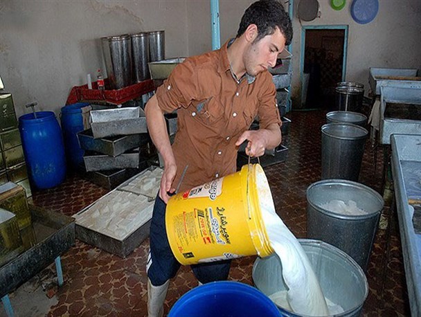 ۴۶ واحد تولید پنیر سنتی در بستان آباد بدون پروانه بهداشتی فعالیت می کنند