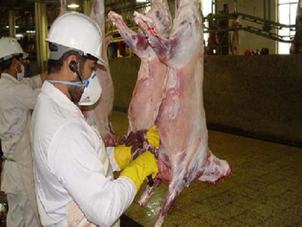 جایگاه‌های عرضه بهداشتی دام تاسوعا و عاشورا باز است + نشانی جایگاه ها