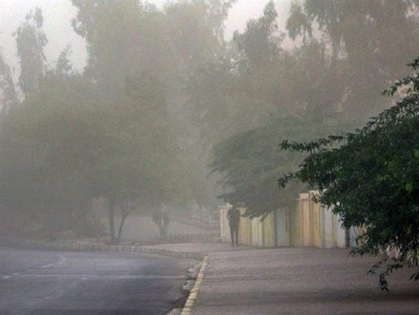 وزش باد شدید تا آخر هفته در بوشهر