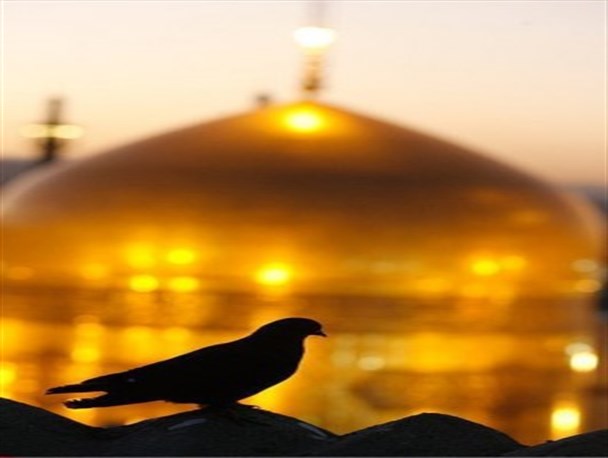 سبک زندگی رضوی؛ الگوی مغفول جامعه ایرانی