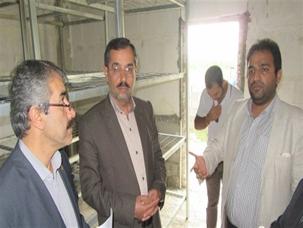 بازدید مسئولین از شرکت «قارچ گلسا» سیمرغ +تصاویر